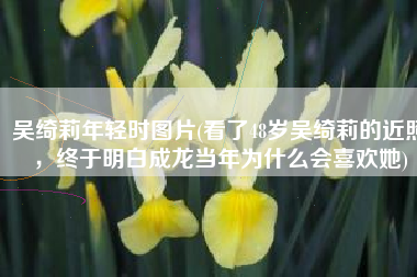 吴绮莉年轻时图片(看了48岁吴绮莉的近照，终于明白成龙当年为什么会喜欢她)