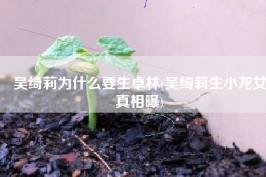 吴绮莉为什么要生卓林(吴绮莉生小龙女真相曝)