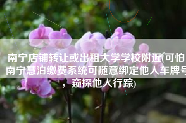 南宁店铺转让或出租大学学校附近(可怕！南宁慧泊缴费系统可随意绑定他人车牌号，窥探他人行踪)
