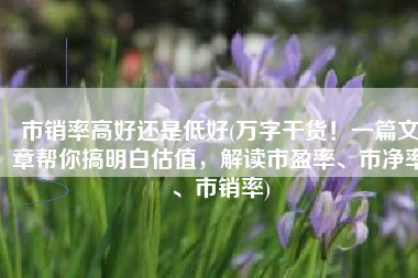 市销率高好还是低好(万字干货！一篇文章帮你搞明白估值，解读市盈率、市净率、市销率)