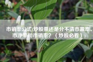 市销率公式(炒股票还是分不清市盈率、市净率和市销率？（炒股必看）)