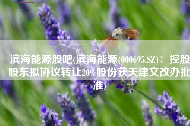 滨海能源股吧(滨海能源(000695.SZ)：控股股东拟协议转让20%股份获天津文改办批准)