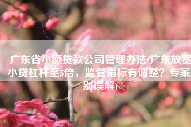 广东省小额贷款公司管理办法(广东放宽小贷杠杆至5倍，监管指标有调整？专家：别误解)