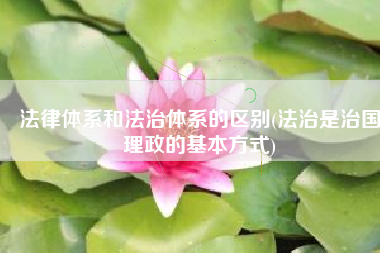 法律体系和法治体系的区别(法治是治国理政的基本方式)