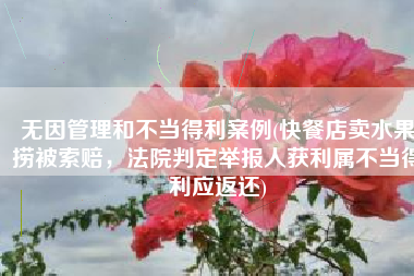 无因管理和不当得利案例(快餐店卖水果捞被索赔，法院判定举报人获利属不当得利应返还)