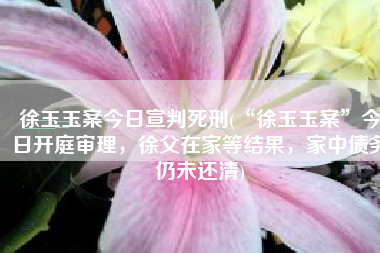 徐玉玉案今日宣判死刑(“徐玉玉案”今日开庭审理，徐父在家等结果，家中债务仍未还清)