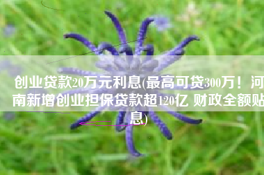 创业贷款20万元利息(最高可贷300万！河南新增创业担保贷款超120亿 财政全额贴息)