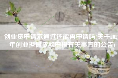 创业贷申请未通过还能再申请吗(关于2022年创业担保贷款申报有关事宜的公告)