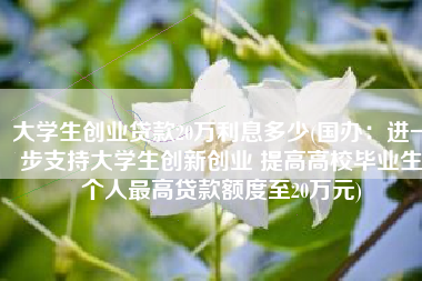 大学生创业贷款20万利息多少(国办：进一步支持大学生创新创业 提高高校毕业生个人最高贷款额度至20万元)