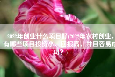 2022年创业什么项目好(2022年农村创业，有哪些项目投资小、回报高，并且容易成功？)