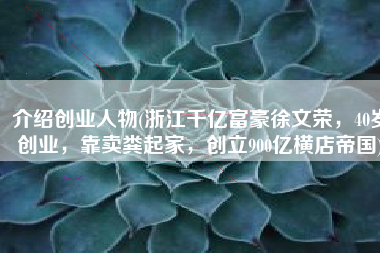 介绍创业人物(浙江千亿富豪徐文荣，40岁创业，靠卖粪起家，创立900亿横店帝国)