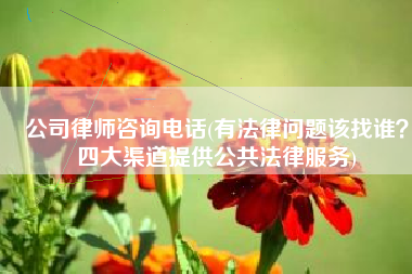 公司律师咨询电话(有法律问题该找谁？四大渠道提供公共法律服务)