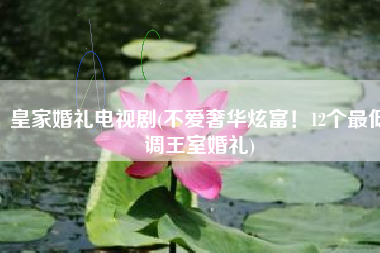 皇家婚礼电视剧(不爱奢华炫富！12个最低调王室婚礼)