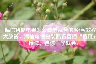 海信智能电视怎么看电视台的频道(教程大放送，海信电视安装酷看直播“傻瓜式”操作，包你一学就会)