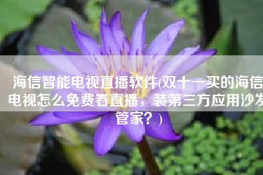 海信智能电视直播软件(双十一买的海信电视怎么免费看直播，装第三方应用沙发管家？)