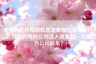 中华人民共和国私营企业暂行条例施行办法(如何判断向公司注入资金的一方是否为公司股东？)