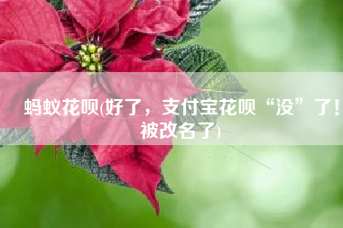 蚂蚁花呗(好了，支付宝花呗“没”了！被改名了)