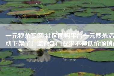 一元秒杀专区(社区团购平台一元秒杀活动下架了！监管部门要求不得低价倾销)