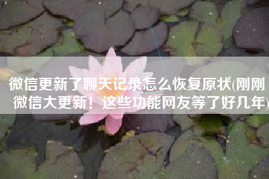 微信更新了聊天记录怎么恢复原状(刚刚｜微信大更新！这些功能网友等了好几年)