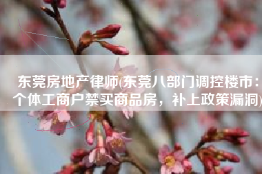 东莞房地产律师(东莞八部门调控楼市：个体工商户禁买商品房，补上政策漏洞)