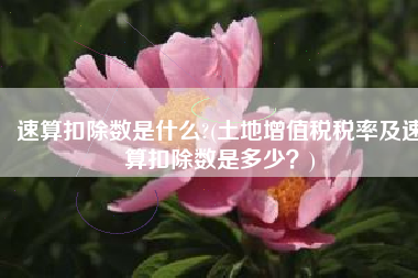 速算扣除数是什么?(土地增值税税率及速算扣除数是多少？)