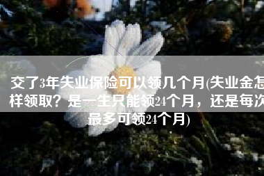 交了3年失业保险可以领几个月(失业金怎样领取？是一生只能领24个月，还是每次最多可领24个月)
