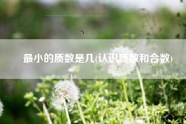 最小的质数是几(认识质数和合数)