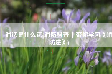 消法是什么法(消防科普 | 带你学习《消防法》)