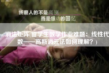 消法矩阵(留学生数学作业难题：线性代数——高斯消元法如何理解？)