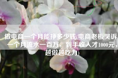 做电商一个月能挣多少钱(电商老板哭诉：一个月流水一百万，到手收入才1000元，越做越吃力)