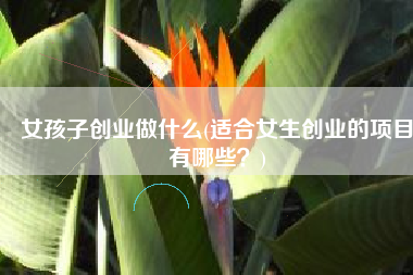 女孩子创业做什么(适合女生创业的项目有哪些？)