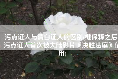 污点证人与清白证人的区别(继保释之后，污点证人首次被大陆影片《决胜法庭》使用)