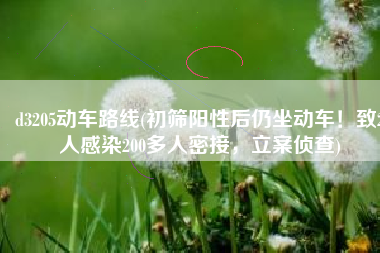 d3205动车路线(初筛阳性后仍坐动车！致2人感染200多人密接，立案侦查)