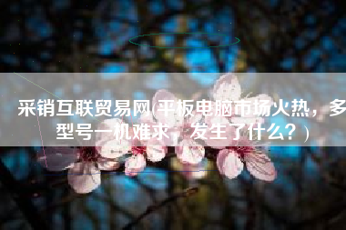 采销互联贸易网(平板电脑市场火热，多型号一机难求，发生了什么？)