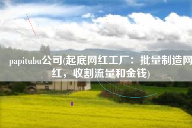 papitubu公司(起底网红工厂：批量制造网红，收割流量和金钱)