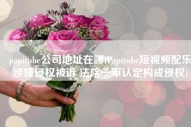 papitube公司地址在哪(Papitube短视频配乐涉嫌侵权被诉 法院一审认定构成侵权)