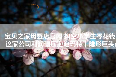 宝贝之家母婴店官网(掏空小学生零花钱，这家公司利润碾压泡泡玛特｜隐形巨头)
