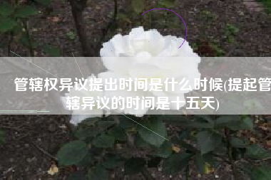 管辖权异议提出时间是什么时候(提起管辖异议的时间是十五天)