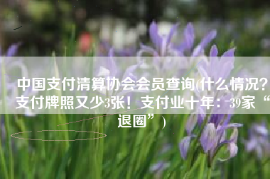 中国支付清算协会会员查询(什么情况？支付牌照又少3张！支付业十年：39家“退圈”)