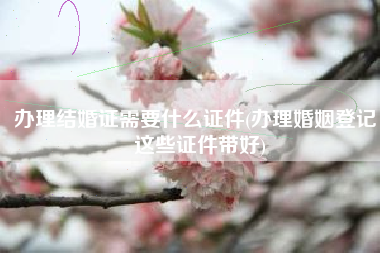 办理结婚证需要什么证件(办理婚姻登记，这些证件带好)