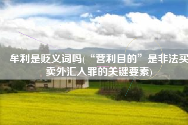 牟利是贬义词吗(“营利目的”是非法买卖外汇入罪的关键要素)