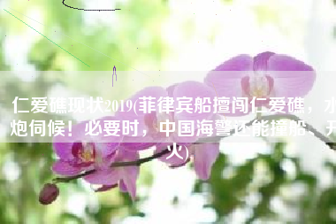 仁爱礁现状2019(菲律宾船擅闯仁爱礁，水炮伺候！必要时，中国海警还能撞船、开火)