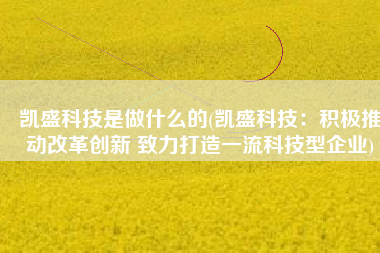 凯盛科技是做什么的(凯盛科技：积极推动改革创新 致力打造一流科技型企业)
