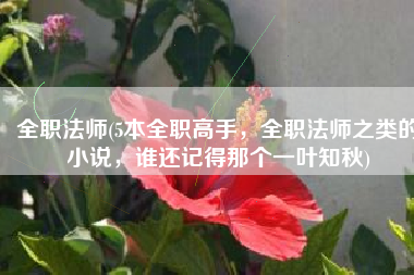 全职法师(5本全职高手，全职法师之类的小说，谁还记得那个一叶知秋)