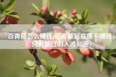 百青藤怎么赚钱(百青藤到底赚不赚钱，只有做过的人才知道)