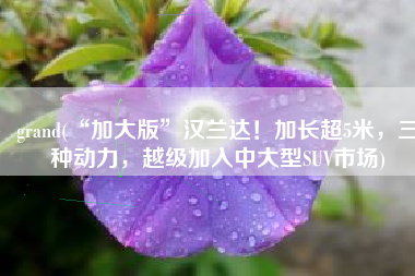 grand(“加大版”汉兰达！加长超5米，三种动力，越级加入中大型SUV市场)