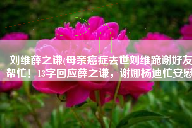 刘维薛之谦(母亲癌症去世刘维跪谢好友帮忙！13字回应薛之谦，谢娜杨迪忙安慰)