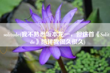 solitude(我不熟悉坂本龙一，但这首《Solitude》陪伴我很久很久)