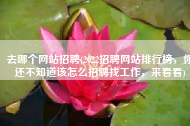 去哪个网站招聘(2022招聘网站排行榜，你还不知道该怎么招聘找工作，来看看)