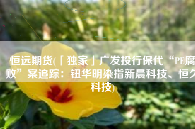 恒远期货(「独家」广发投行保代“PE腐败”案追踪：钮华明染指新晨科技、恒久科技)